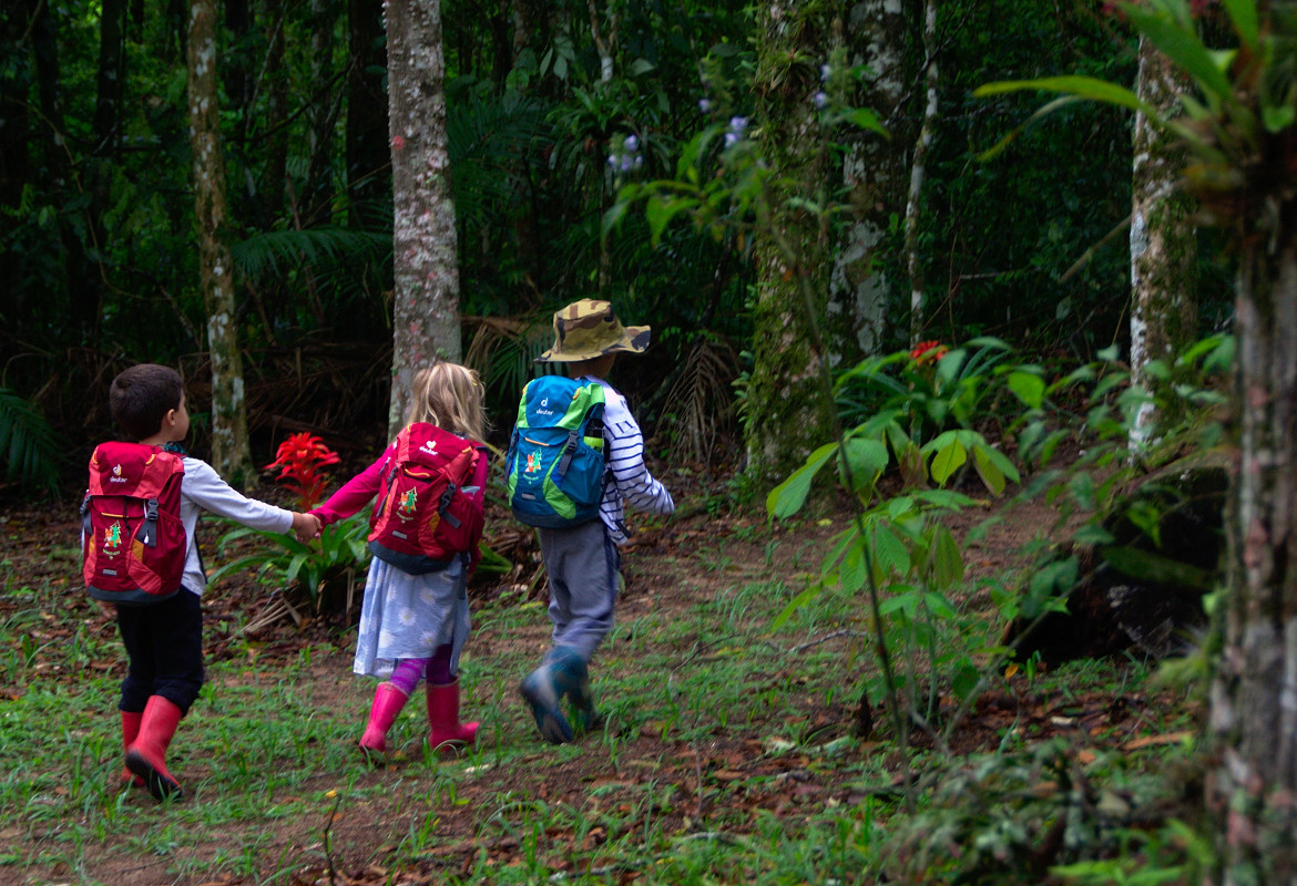 SciELO - Brasil - Crianças em trilhas na natureza: jogos de percurso e  reencantamento Crianças em trilhas na natureza: jogos de percurso e  reencantamento